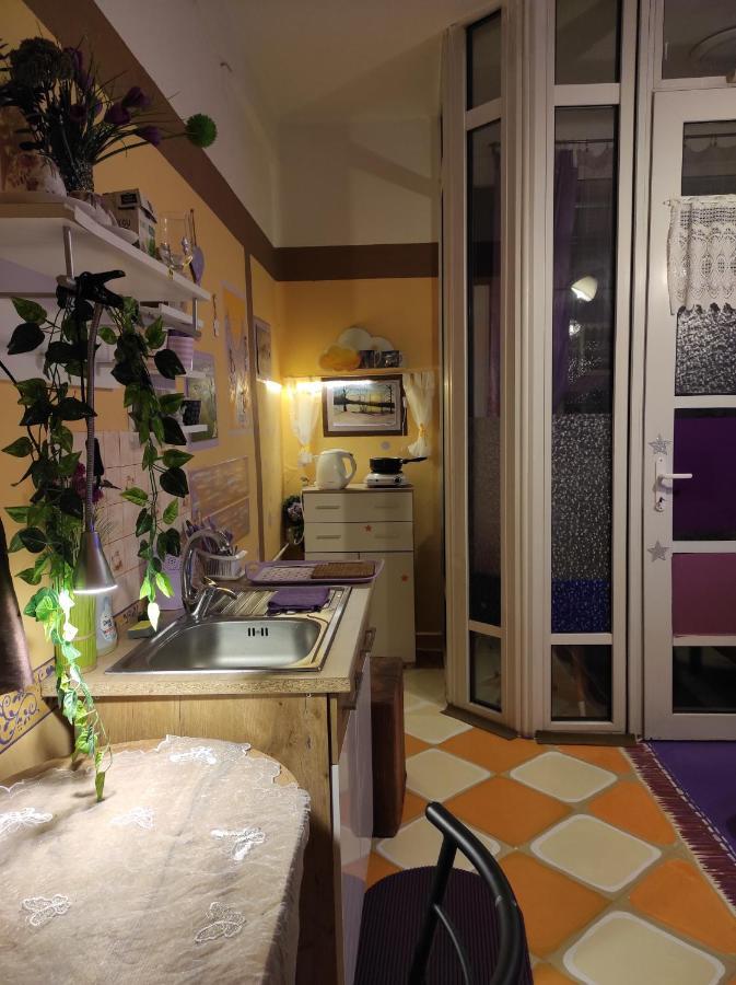 Pension Relax Litoměřice エクステリア 写真