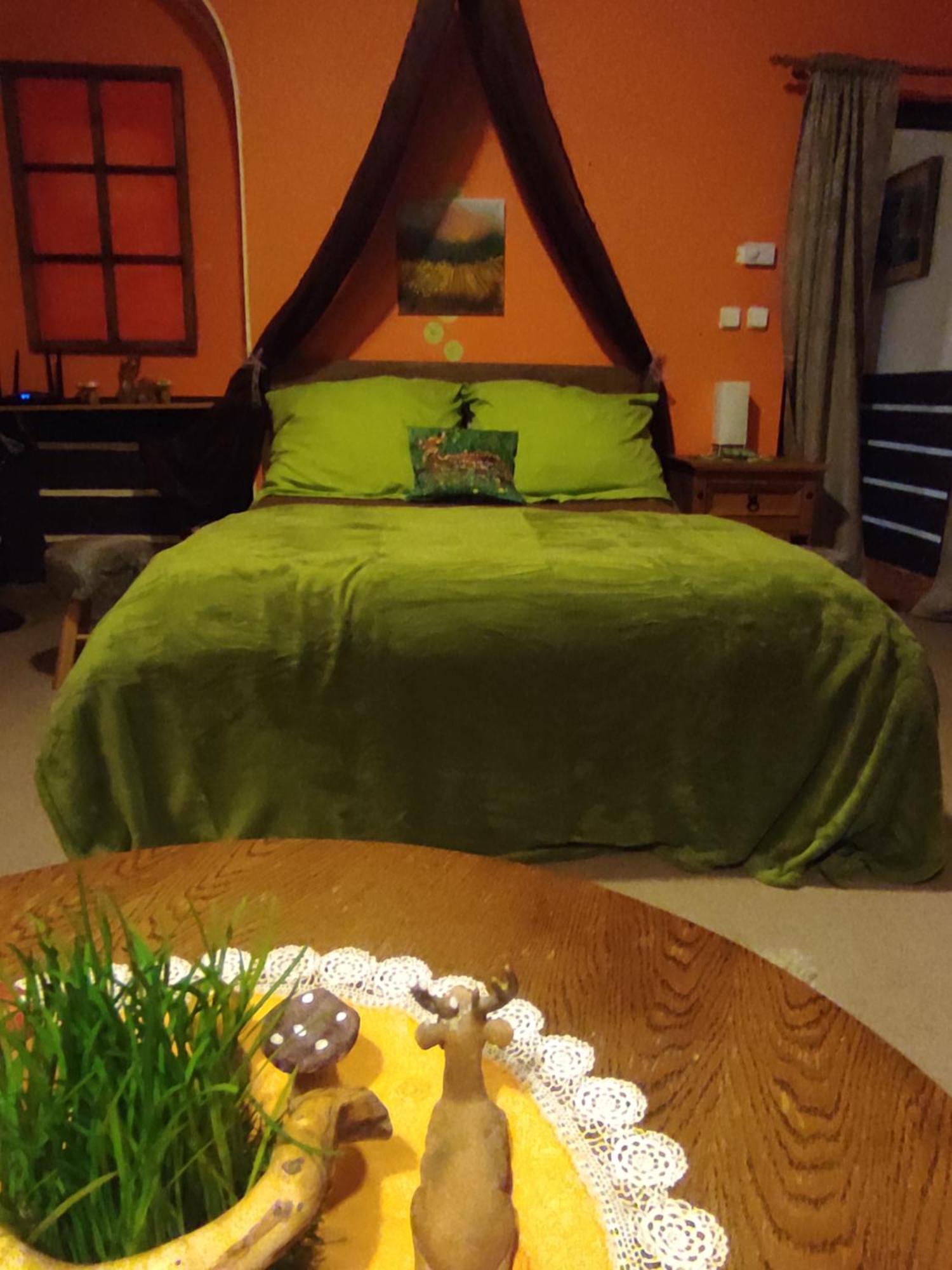 Pension Relax Litoměřice エクステリア 写真