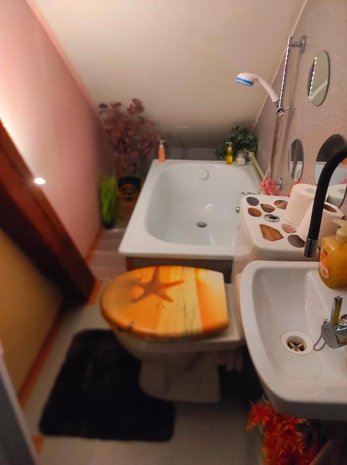 Pension Relax Litoměřice エクステリア 写真