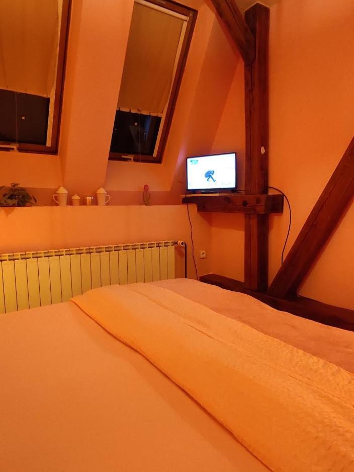 Pension Relax Litoměřice エクステリア 写真