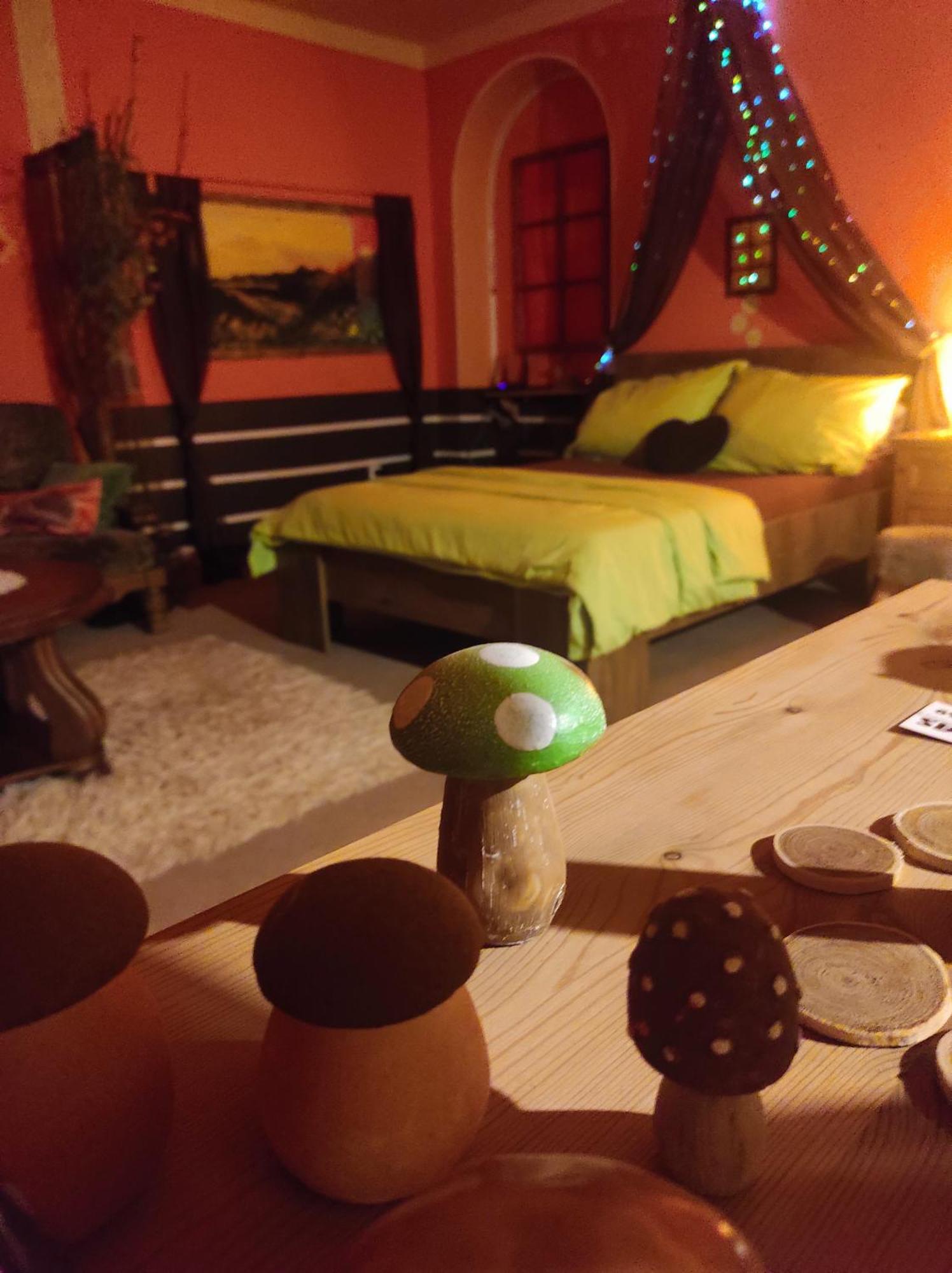 Pension Relax Litoměřice 部屋 写真