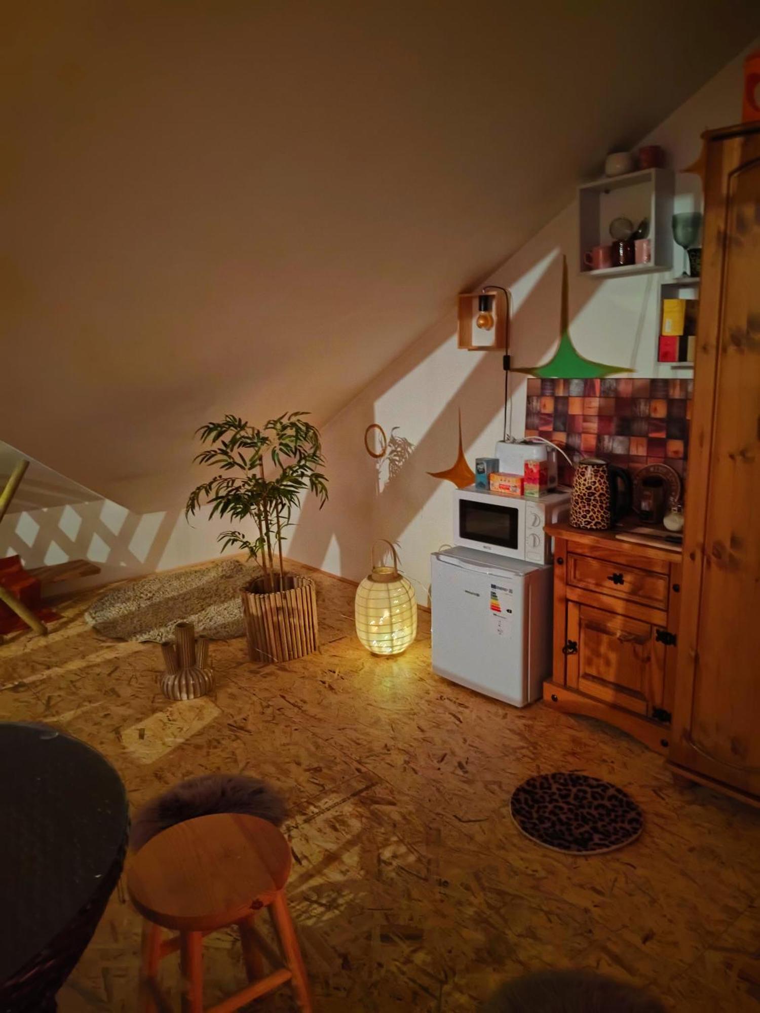 Pension Relax Litoměřice エクステリア 写真