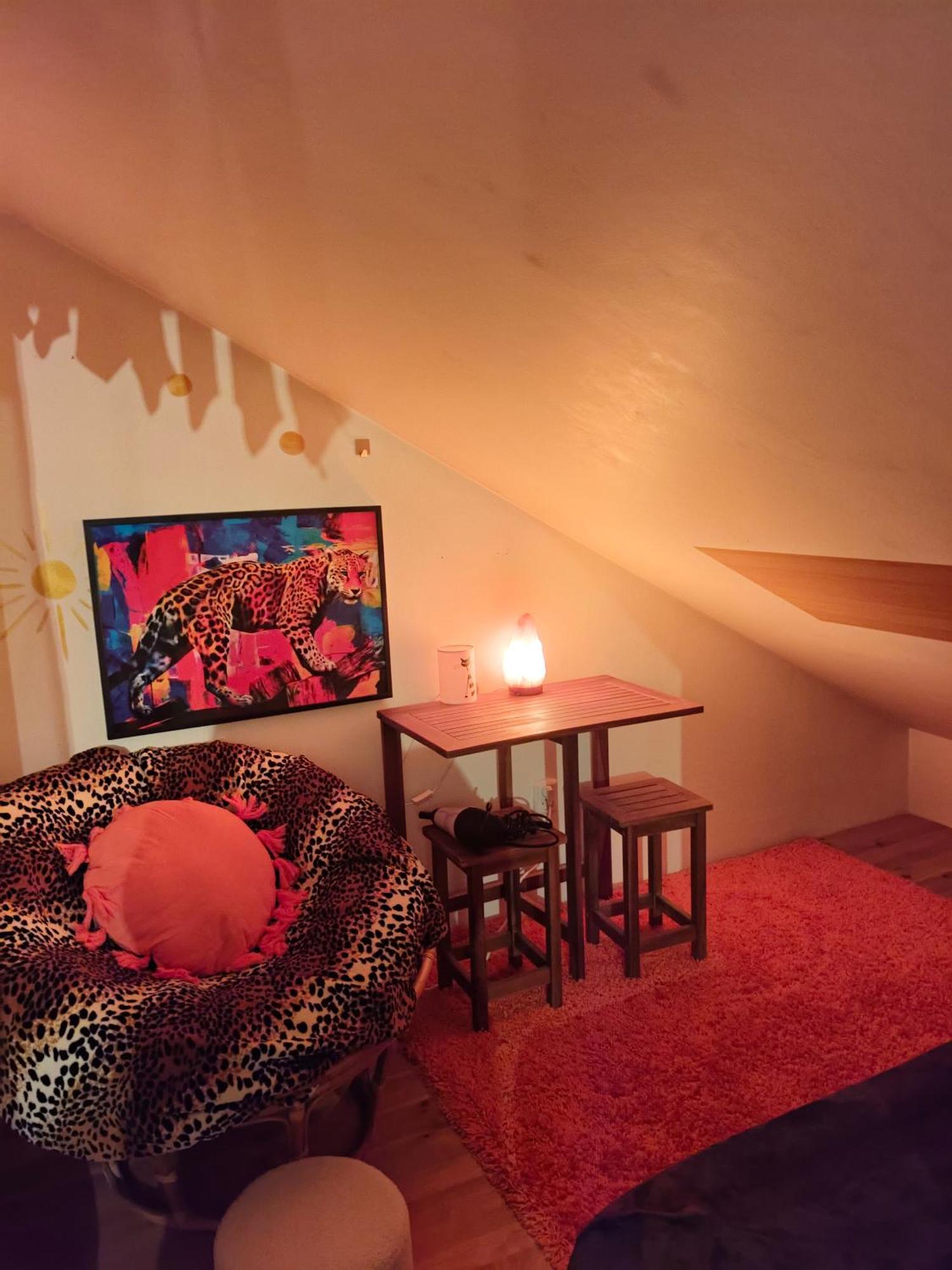 Pension Relax Litoměřice エクステリア 写真