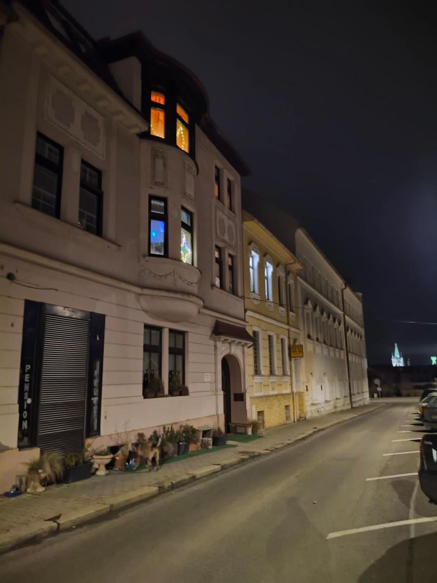 Pension Relax Litoměřice エクステリア 写真
